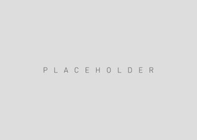 placeholder-2000x1536_02