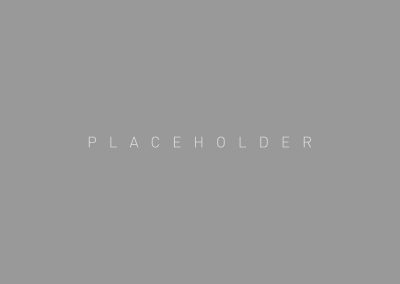 placeholder-2000x1536_03